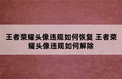 王者荣耀头像违规如何恢复 王者荣耀头像违规如何解除